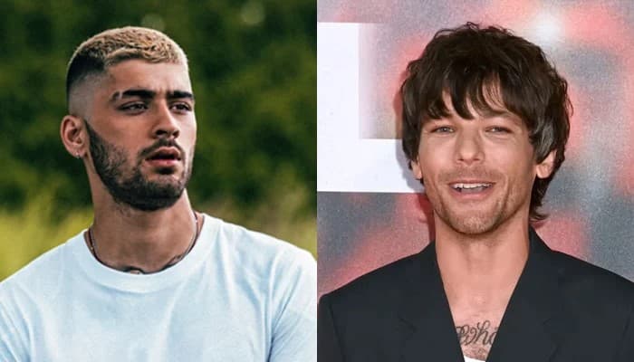 Zayn Malik and Louis Tomlinson Reunite for Netflix Documentary