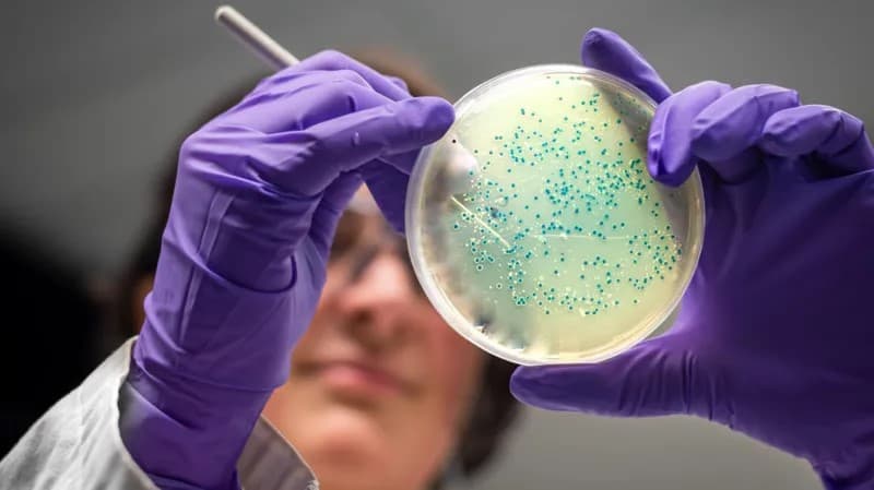AI Creates New Antibiotics for Drug-Resistant Gonorrhoea and MRSA